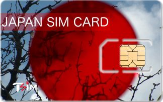 travel sim card to india