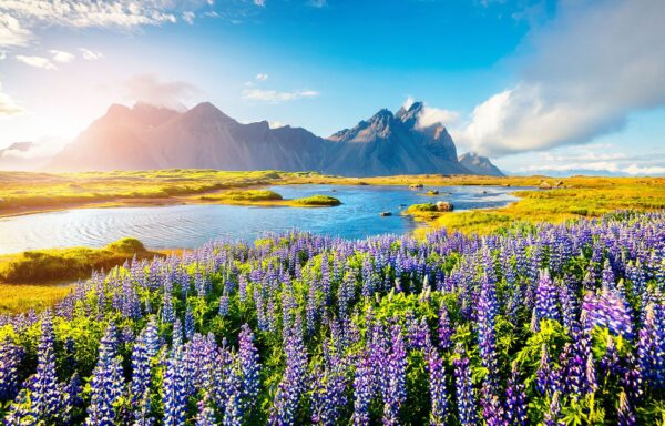 Iceland eSIM