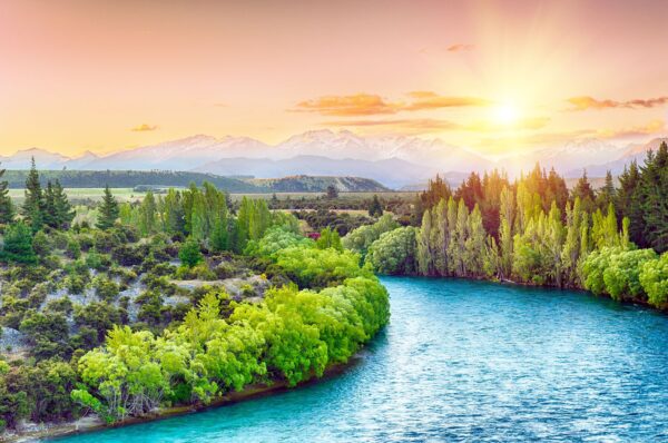New Zealand eSIM - Image 2