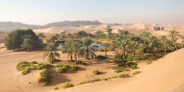 Middle East eSIM 4 Country